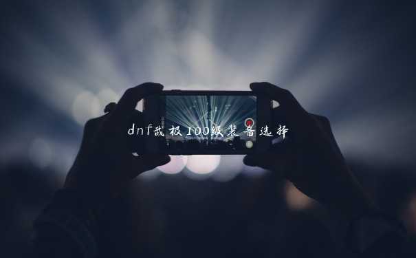 dnf武极100级装备选择