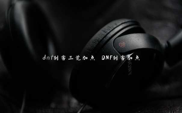 dnf刺客三觉加点 DNF刺客加点