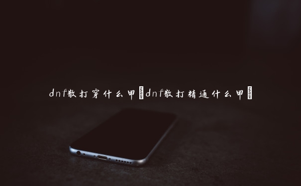 dnf散打穿什么甲(dnf散打精通什么甲)