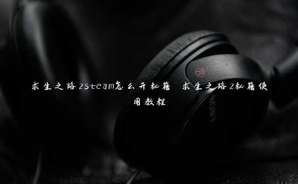 求生之路2steam怎么开秘籍 求生之路2秘籍使用教程