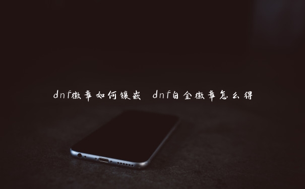 dnf徽章如何镶嵌 dnf白金徽章怎么得