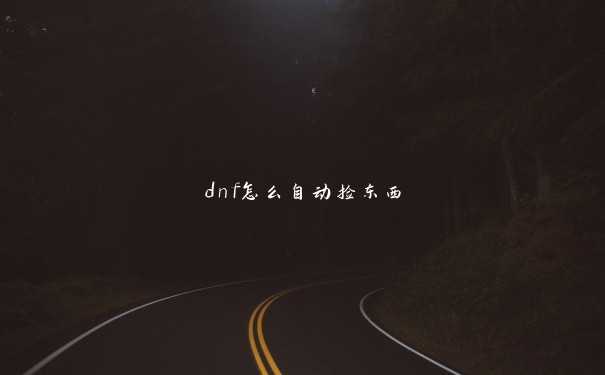 dnf怎么自动捡东西