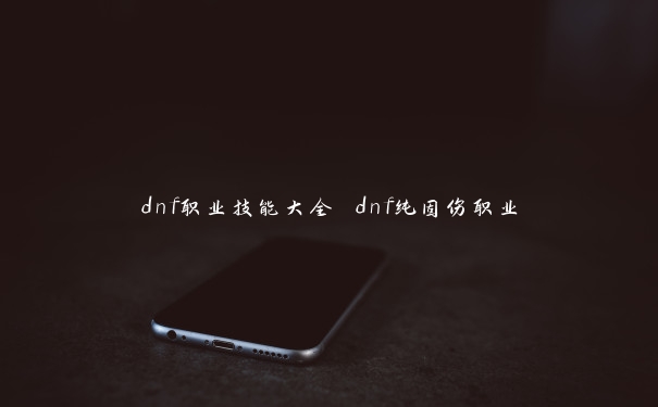 dnf职业技能大全 dnf纯固伤职业