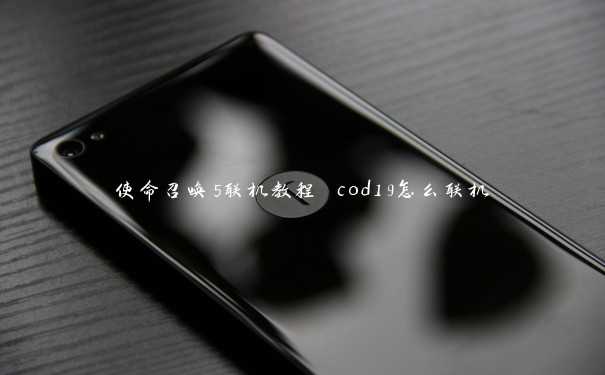 使命召唤5联机教程 cod19怎么联机