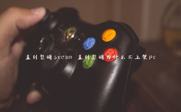 直到黎明steam 直到黎明为什么不上架pc