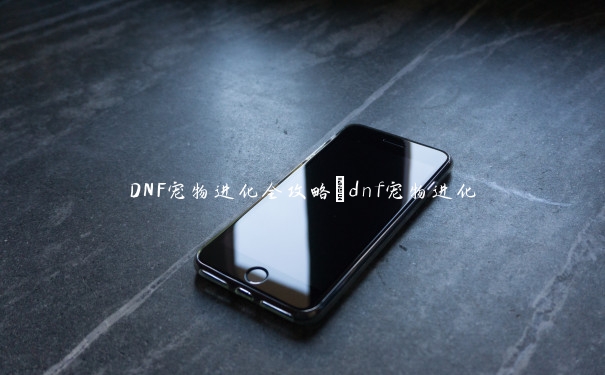 DNF宠物进化全攻略_dnf宠物进化