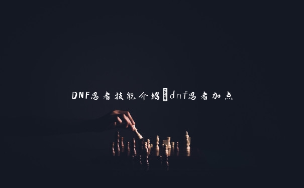 DNF忍者技能介绍_dnf忍者加点