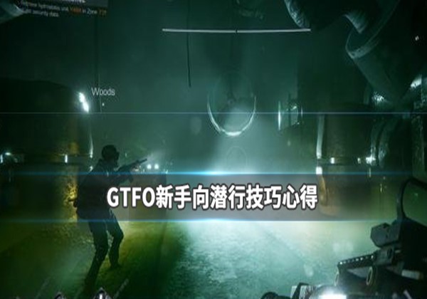 GTFO潜行技巧心得