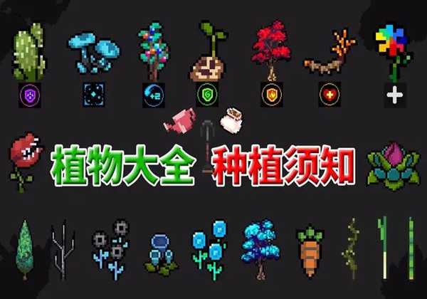 元气骑士植物作用大全一览