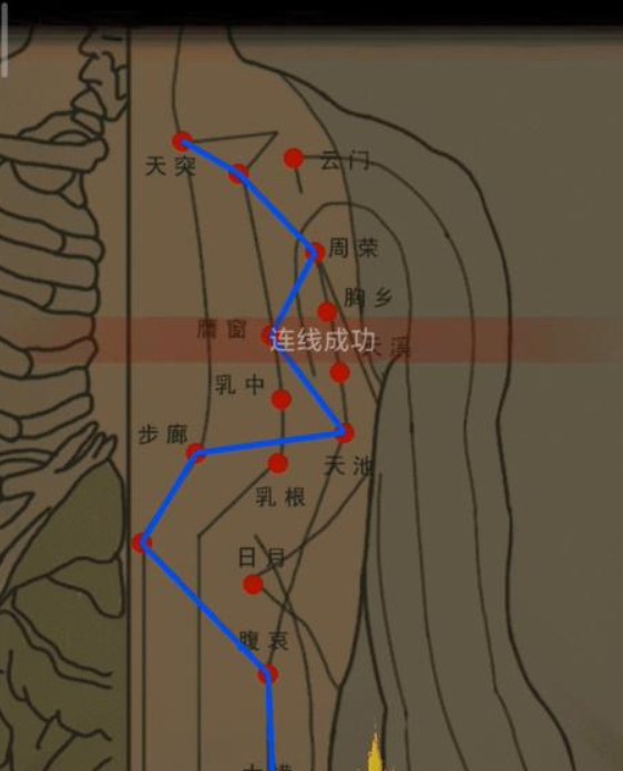 人体图连线