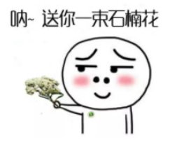 送你两把小石楠花表情包-石楠花表情包图片