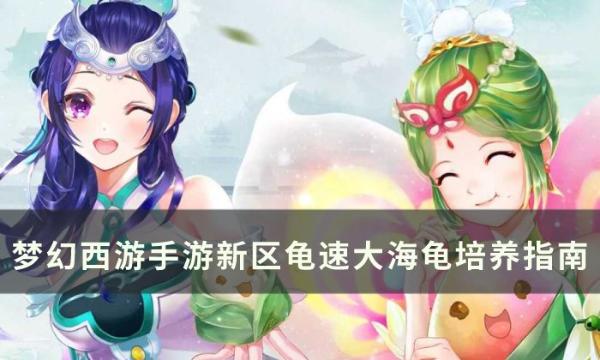 《梦幻西游手游》新区龟速大海龟怎么培养？新区龟速大海龟培养指南